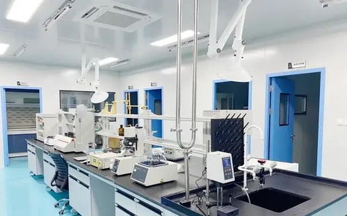 科技中介服務 創新生態中的橋梁與催化劑